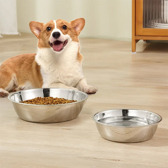 Gamelle Chien Corgi salon