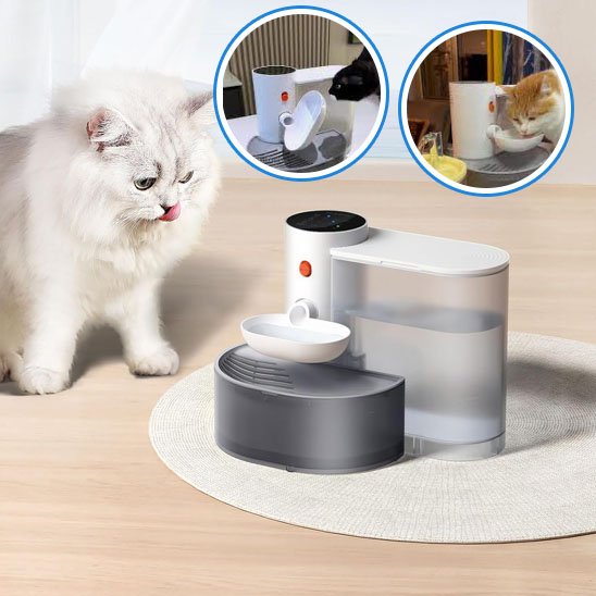 Fontaine Automatique pour Chat
