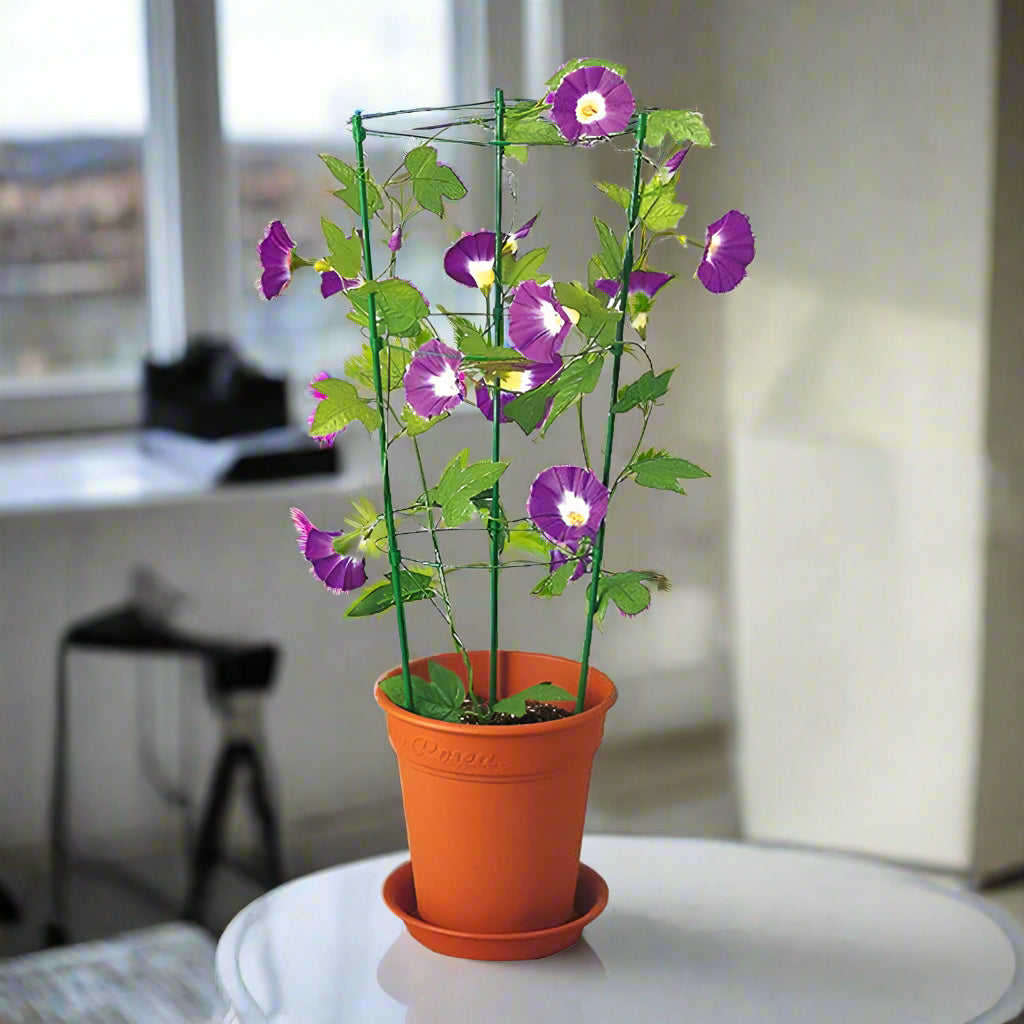 PlantSupport™ - Cadre de support pour plante | Jardinage - Paradis Du Jardin