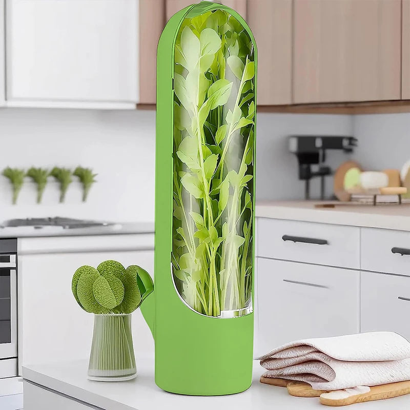 plante-thermo-aromatique