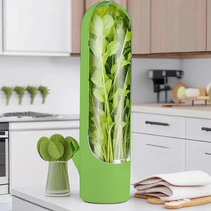 plante-thermo-aromatique