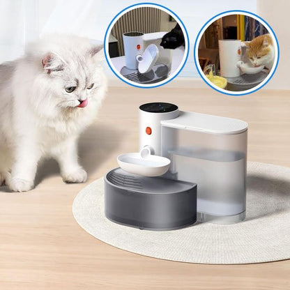 Fontaine Automatique pour Chat