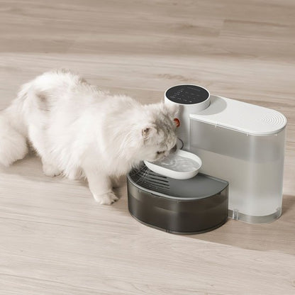 Fontaine Automatique pour Chat