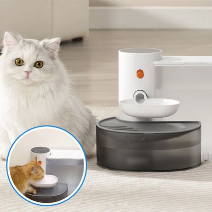 Fontaine Automatique pour Chat